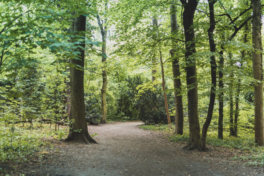 Grunewald en Berlín