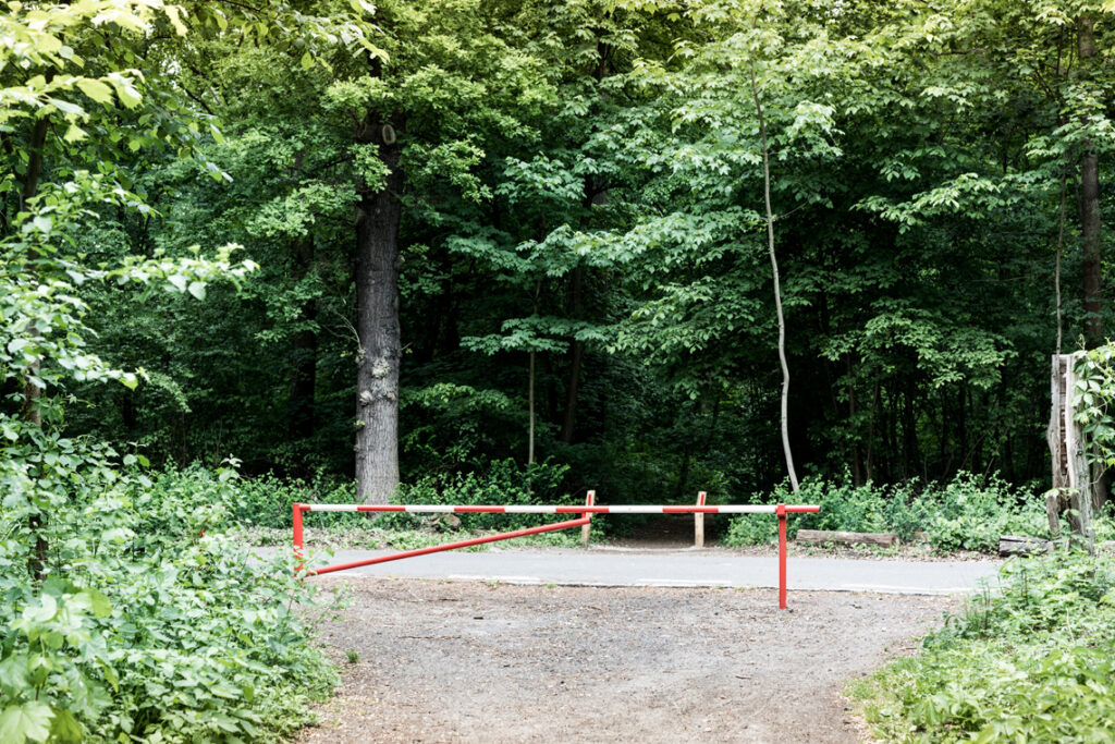 Grunewald de Berlín