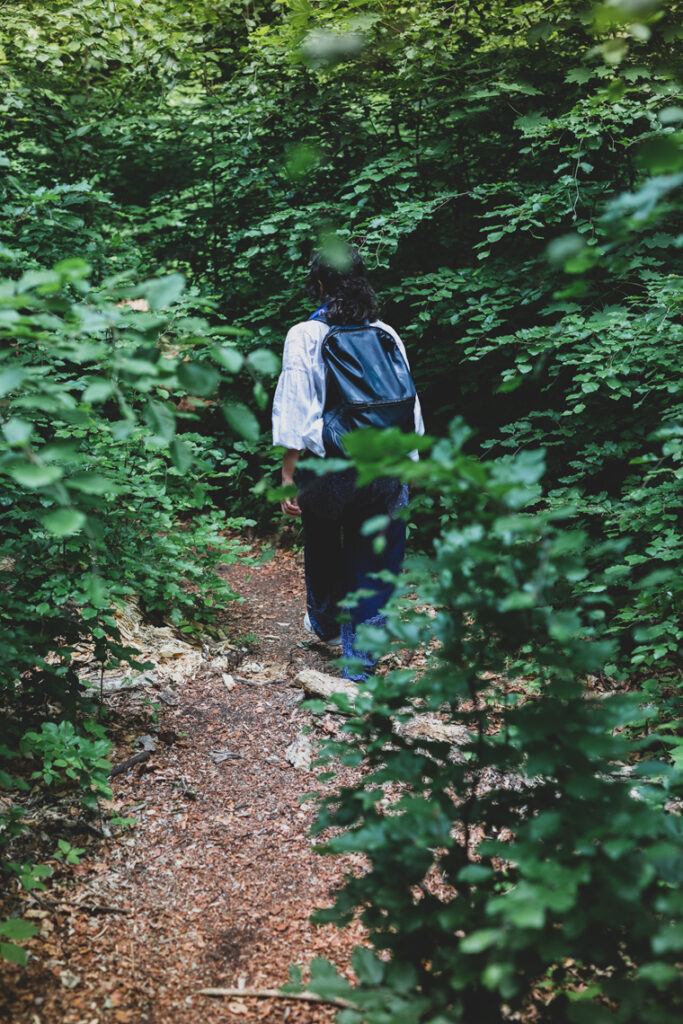camino del Grunewald